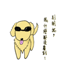 プーロの日常の2-中にかわいい犬があります（個別スタンプ：32）