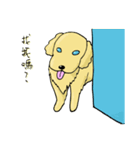 プーロの日常の2-中にかわいい犬があります（個別スタンプ：36）