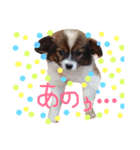 くるみんの毎日2♪（個別スタンプ：1）