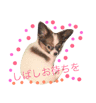 くるみんの毎日2♪（個別スタンプ：3）