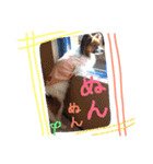 くるみんの毎日2♪（個別スタンプ：5）