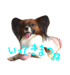 くるみんの毎日2♪（個別スタンプ：7）
