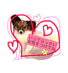 くるみんの毎日2♪（個別スタンプ：8）