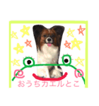 くるみんの毎日2♪（個別スタンプ：9）