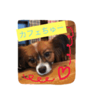 くるみんの毎日2♪（個別スタンプ：11）