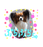 くるみんの毎日2♪（個別スタンプ：12）