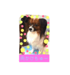 くるみんの毎日2♪（個別スタンプ：13）