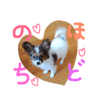 くるみんの毎日2♪（個別スタンプ：14）