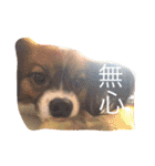くるみんの毎日2♪（個別スタンプ：16）