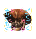 くるみんの毎日2♪（個別スタンプ：17）