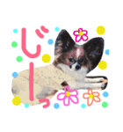 くるみんの毎日2♪（個別スタンプ：18）
