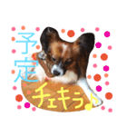 くるみんの毎日2♪（個別スタンプ：19）