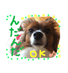 くるみんの毎日2♪（個別スタンプ：21）