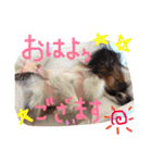 くるみんの毎日2♪（個別スタンプ：22）