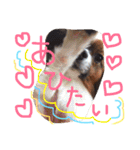 くるみんの毎日2♪（個別スタンプ：23）
