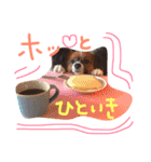 くるみんの毎日2♪（個別スタンプ：24）