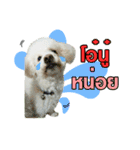 pea＆huay naughty dog（個別スタンプ：2）