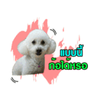 pea＆huay naughty dog（個別スタンプ：4）