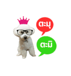 pea＆huay naughty dog（個別スタンプ：5）