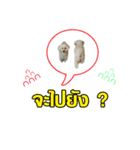 pea＆huay naughty dog（個別スタンプ：7）