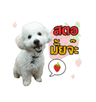 pea＆huay naughty dog（個別スタンプ：8）