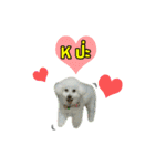 pea＆huay naughty dog（個別スタンプ：10）