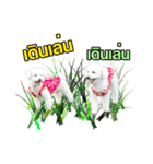 pea＆huay naughty dog（個別スタンプ：12）