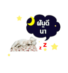 pea＆huay naughty dog（個別スタンプ：14）