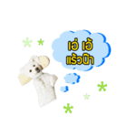 pea＆huay naughty dog（個別スタンプ：15）