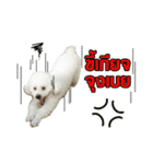 pea＆huay naughty dog（個別スタンプ：16）