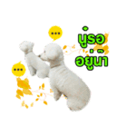 pea＆huay naughty dog（個別スタンプ：18）