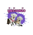 pea＆huay naughty dog（個別スタンプ：22）