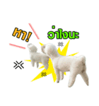 pea＆huay naughty dog（個別スタンプ：24）