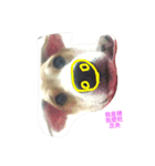 MIX DONA（個別スタンプ：2）