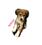 MIX DONA（個別スタンプ：5）