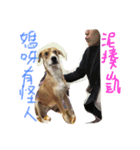 MIX DONA（個別スタンプ：7）