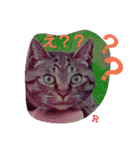 名前はらぶです。（個別スタンプ：3）