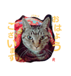 名前はらぶです。（個別スタンプ：4）