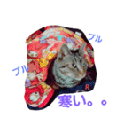 名前はらぶです。（個別スタンプ：5）