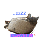 名前はらぶです。（個別スタンプ：8）