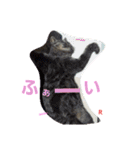 名前はらぶです。（個別スタンプ：10）