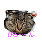 名前はらぶです。（個別スタンプ：11）