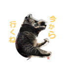 名前はらぶです。（個別スタンプ：13）