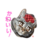 名前はらぶです。（個別スタンプ：14）