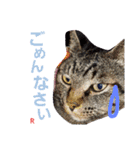 名前はらぶです。（個別スタンプ：18）