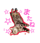 名前はらぶです。（個別スタンプ：24）