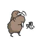 Kiwi's daily-QI-BI（個別スタンプ：16）