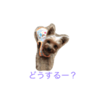 かわいいくるみちゃん（個別スタンプ：6）