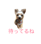 かわいいくるみちゃん（個別スタンプ：7）