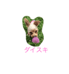 かわいいくるみちゃん（個別スタンプ：8）